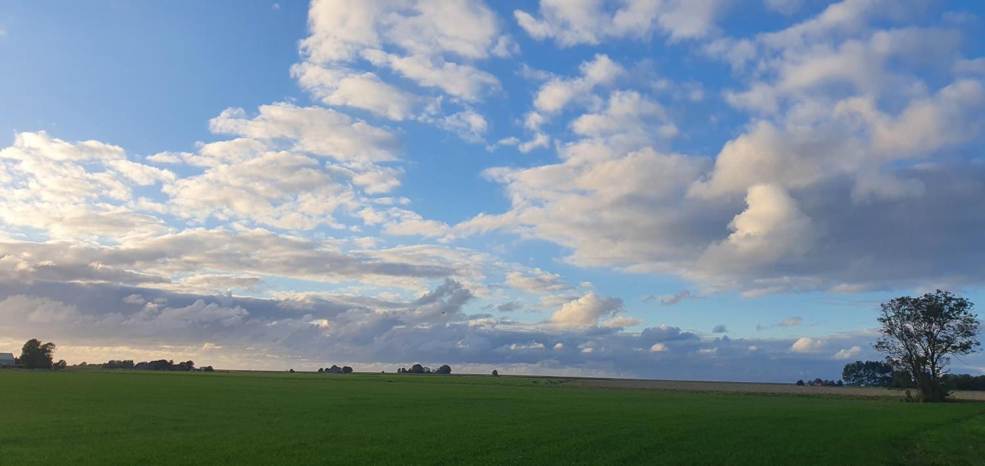 De Groote Medwert Holwerd Exterior foto