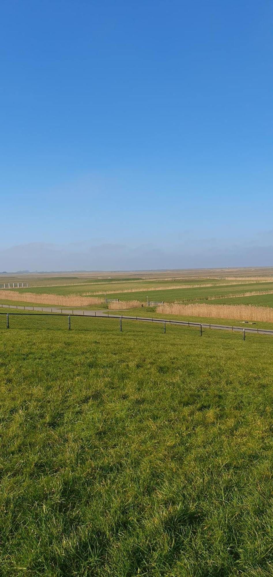 De Groote Medwert Holwerd Exterior foto