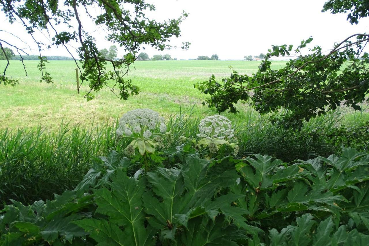 De Groote Medwert Holwerd Exterior foto